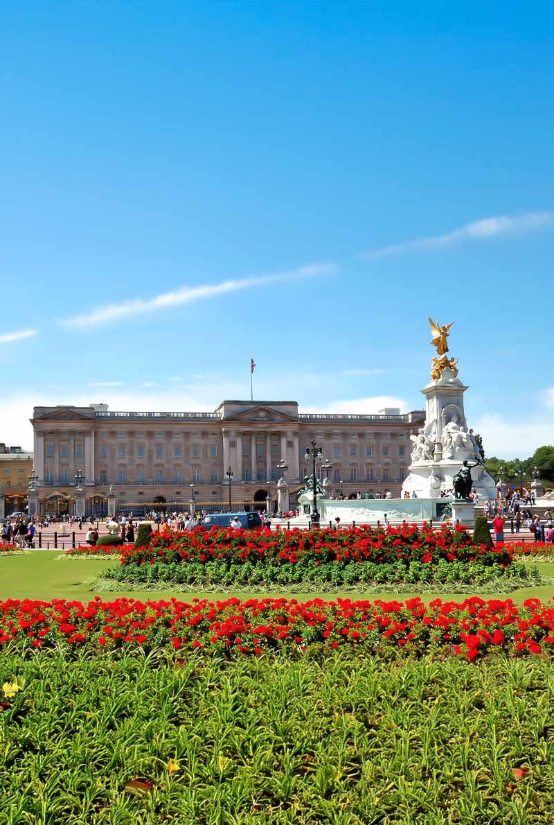 UK Visa Assist