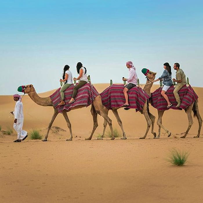 Camel Desert Ride