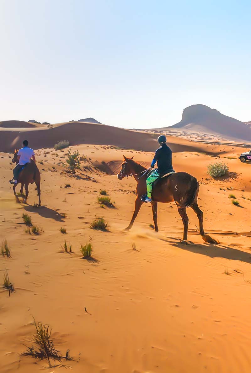 Mleiha Equestrian Adventures